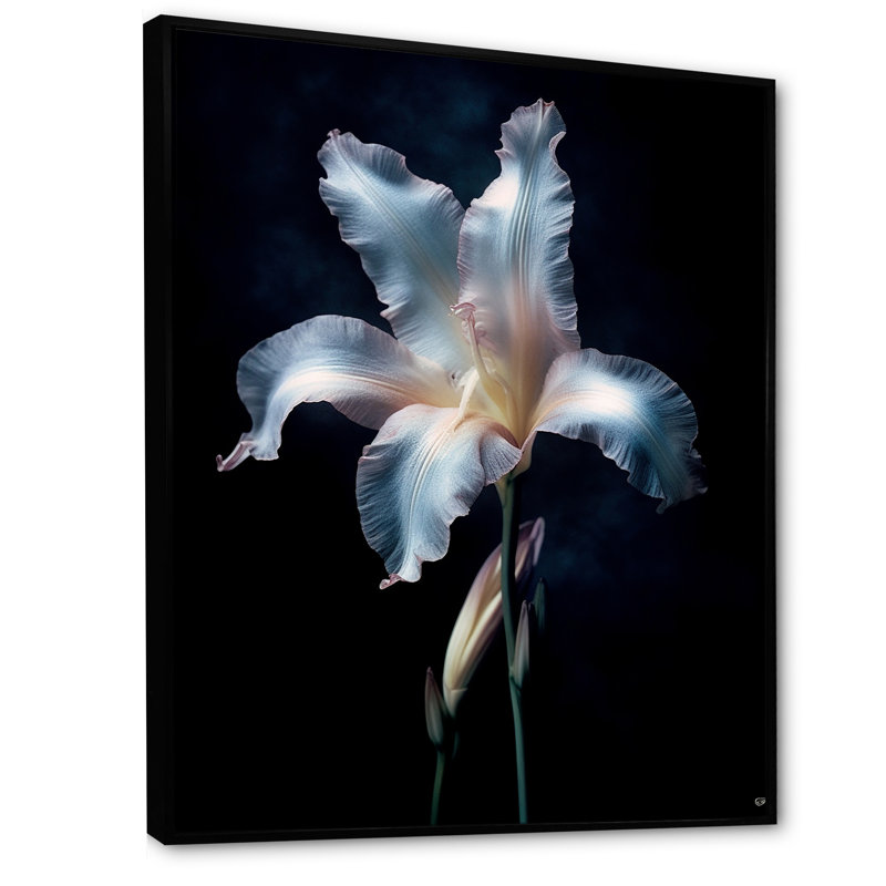 «Moonlight Wild White Iris Spectral Beauty», reproduction sur toile, Cadre flottant noir, H 20 po x l 12 po