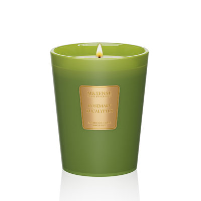  Rosemary Eucalyptus Soy Candle, 14.1oz 60H Long Lasting, Aromatherapy Candle for Bathroom Freshness Winter Home Decor Housewarming Gifts