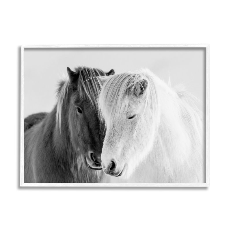 «Wild Horse Animal pair», photographie du sud-ouest sur blanc surdimensionnée, giclée sur blanc, art texturé par Danita Delimont
