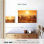 Coucher de soleil zèbre-679106725