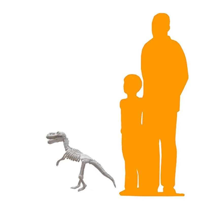 Baby T-Rex Dinosaur Skeleton Life Size Statue