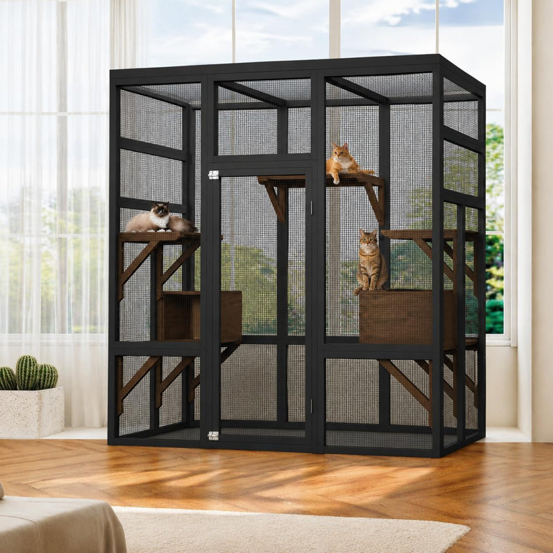 Cat House, Black