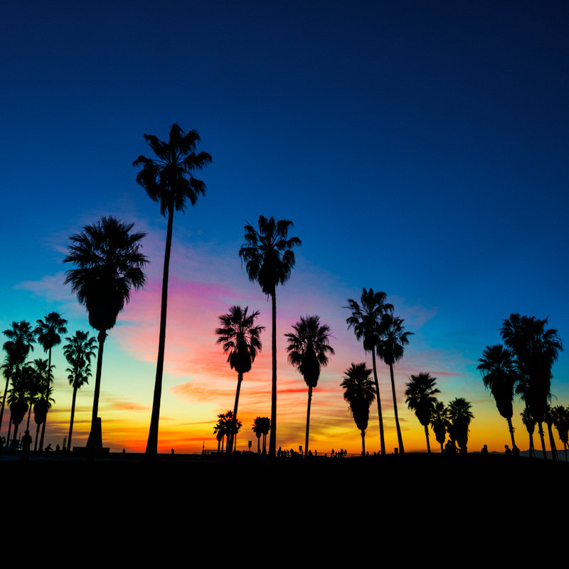 Night Colours by EXTREME-PHOTOGRAPHER - No Frame Print on Canvas, 51cm H x 51cm W