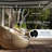 Motorized Retractable Patio Awning- Black Frame-45055528-109247239-63872965