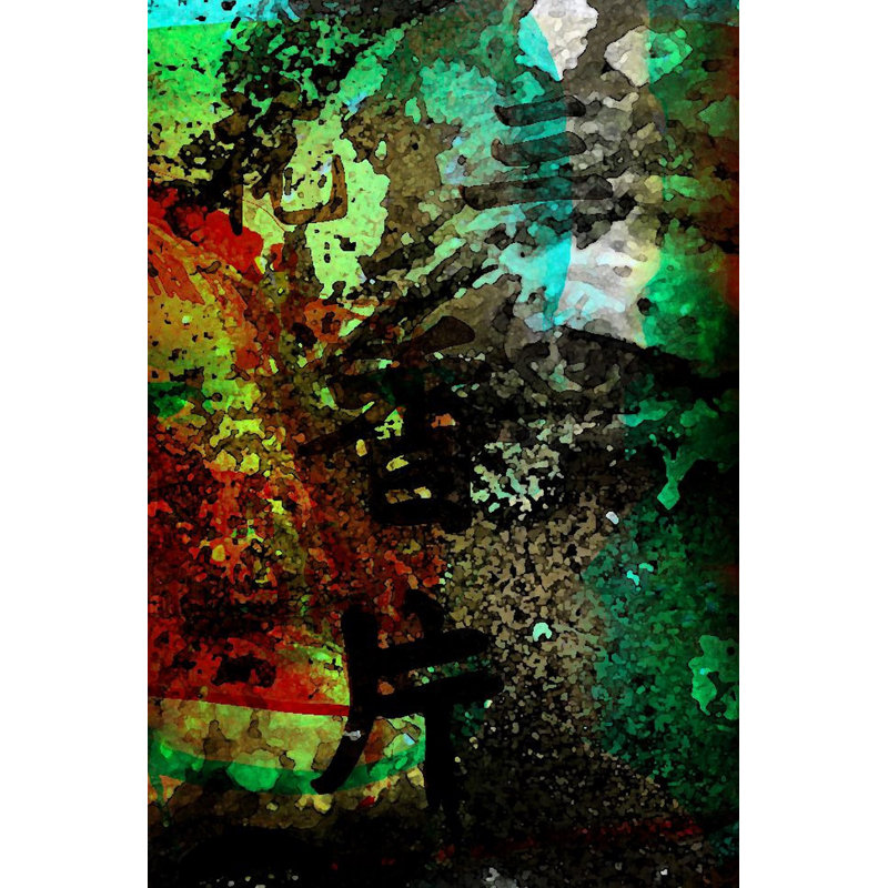 Parvez Taj - Wrapped Canvas Print, 45cm H x 30cm W