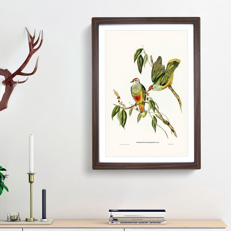 Swainson's Fruit Pigeons by Elizabeth Gould - Picture Frame Art Prints, 65cm H x 48cm W x 2cm D, Walnut Framed