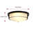 2-Lamp Black Dimmable Glass Iron Industrial Ceiling Light