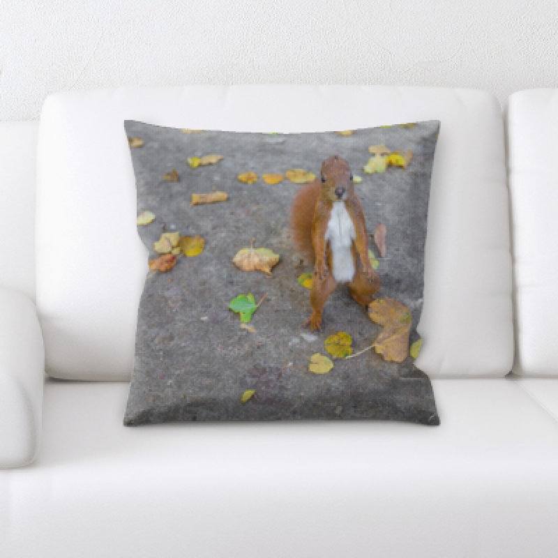 Microsuede Throw Pillow