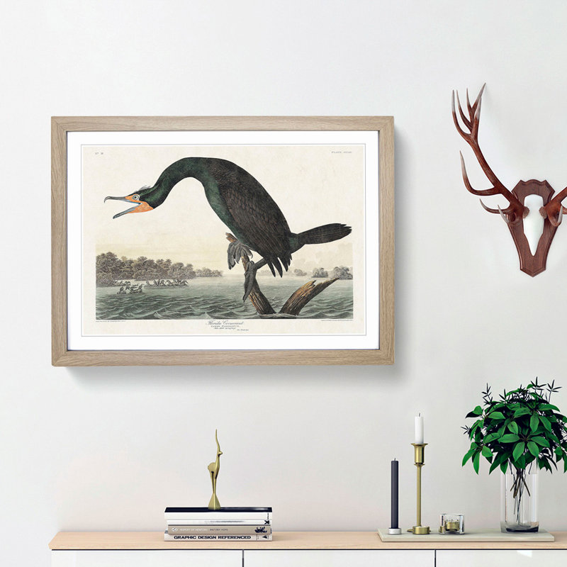 Florida Cormorant Bird by John Audubon - Picture Frame Painting Print on MDF, 36cm H x 48cm W x 2cm D, Oak Framed