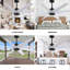 Ariella - Eight Blade Ceiling Fan - Brushed Brass Finish - Matte Black Blades-1855432163-1855432142