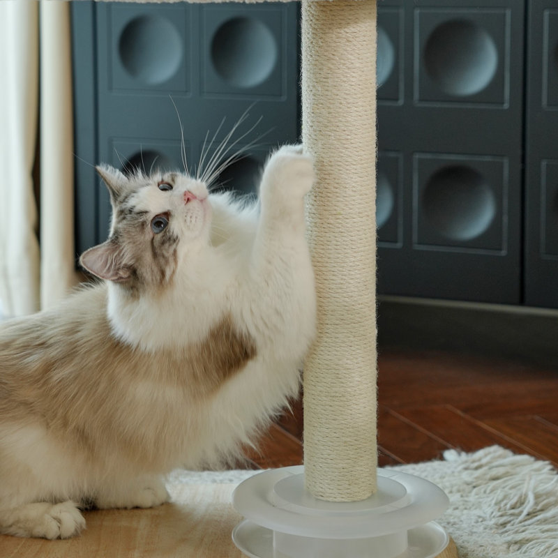 Support à griffer pour chat Fairela