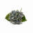 Hydrangea Stem-1885477828