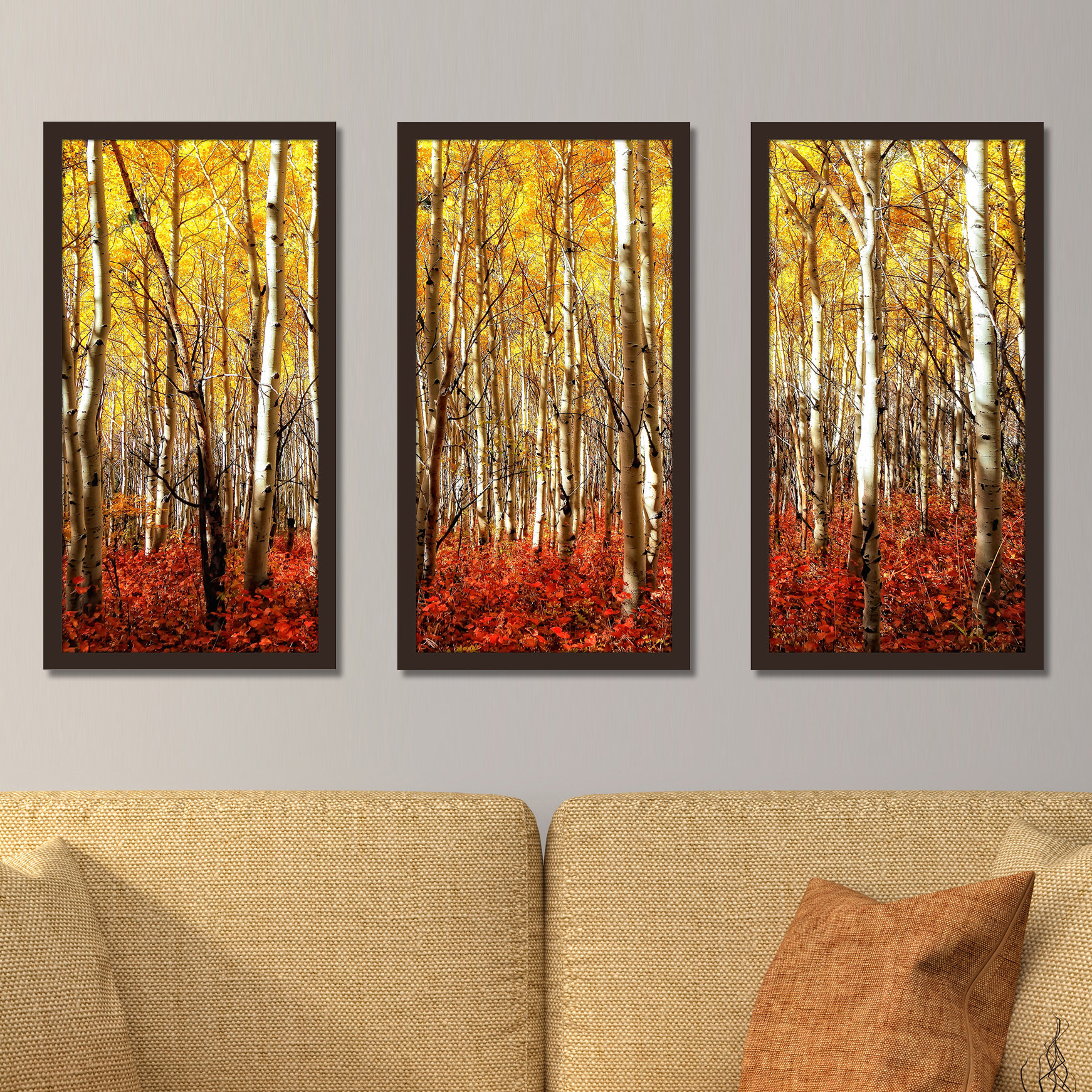 Millwood Pines Birch Trees - 3 Piece Picture Frame Photograph Print Set ...