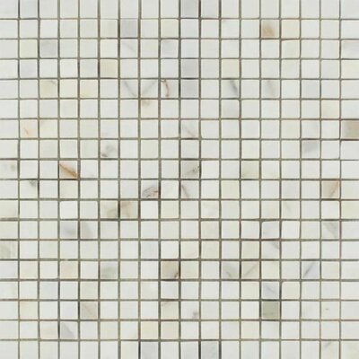 Tile & Mosaic Depot CGM5/8X5/8P0417