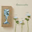 Roses Bushes-1913941525