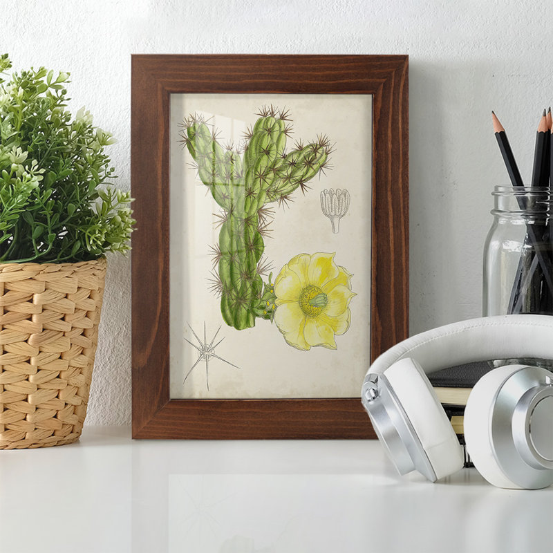 Cactus antique I - impression encadrée avec verre, H 6 po x l 4 po x P 1 po, Châtaigne
