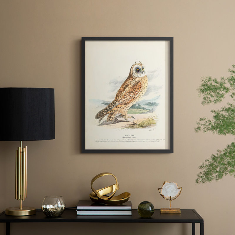 Hawk Owl Framed Print - Solid Wood, 11" H x 9" W, Black