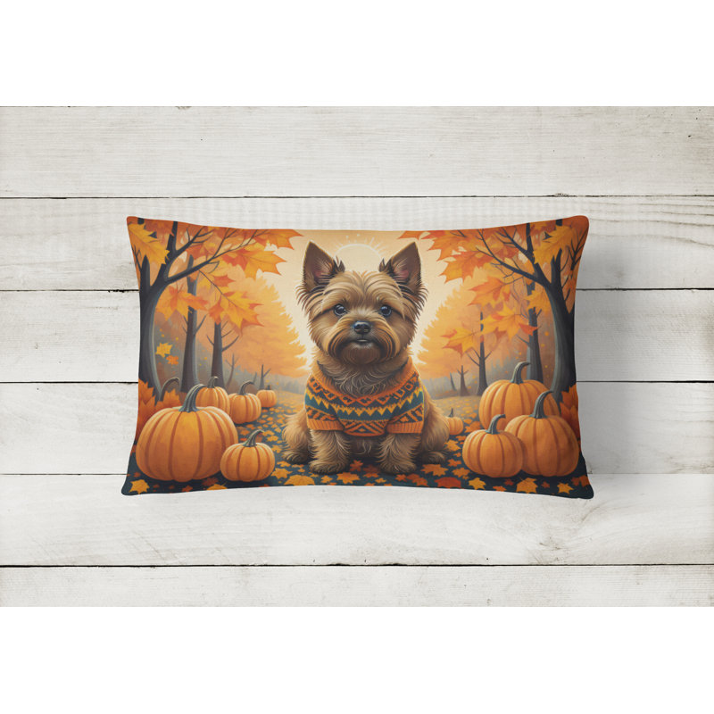 Other/No Pattern Reversible Throw Pillow