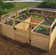 8 ft. W x 8 ft. D Cedar Garden in a Box