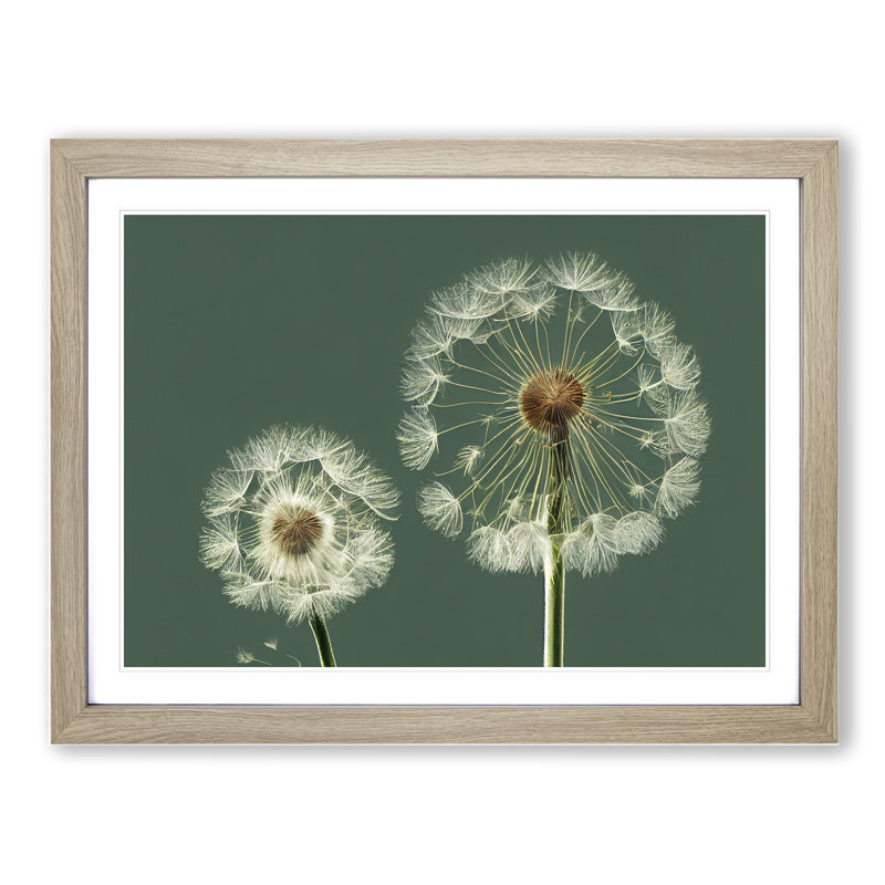 Ethereal Dandelion Flowers - Framed Print, 25cm H x 34cm W x 2cm D, Oak