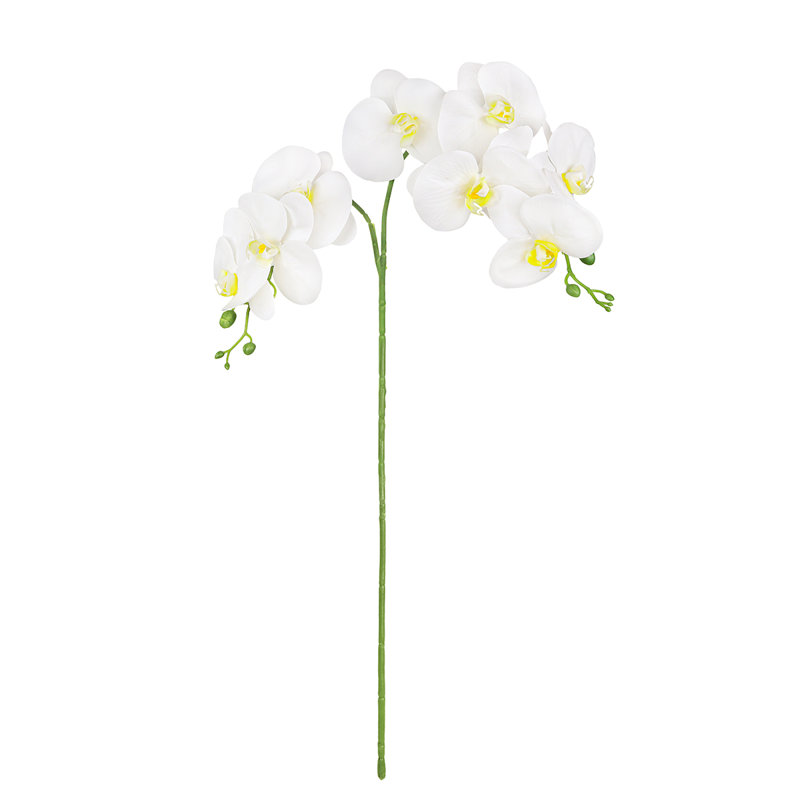 Tige de fleur d'orchidée artificielle, Blanc