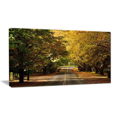 « road through belle », reproduction de photo sur toile tendue