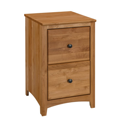 Malani 2-Drawer Vertical Filing Cabinet