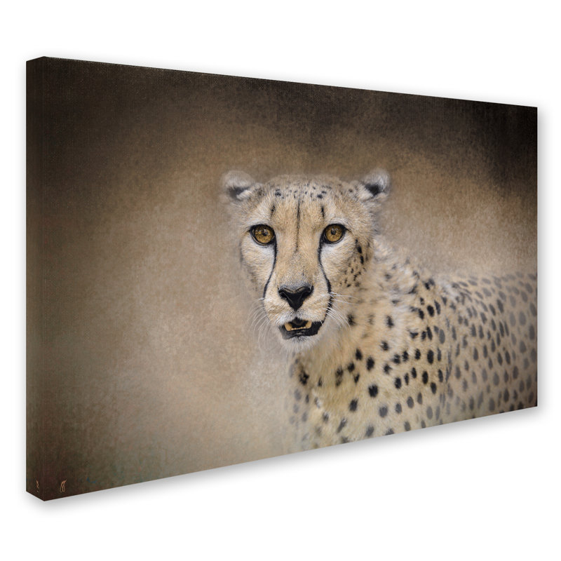«The Cheetah», impression sur toile tendue Vidur, H 12 po x l 19 po