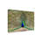 Modern & Contemporary Print-97259352