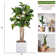 Panama 67'' Faux Palm Tree in Fiberstone Vase