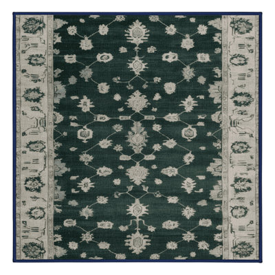 Tapis bleu lavé à la machine