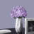 Hydrangea Stem-1158631078