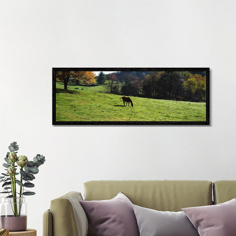 Horses grazing in a field, Kent County, Michigan, USA 1 Piece Panoramic Wall Art on Canvas, 121.92 cm H x 40.64 cm W