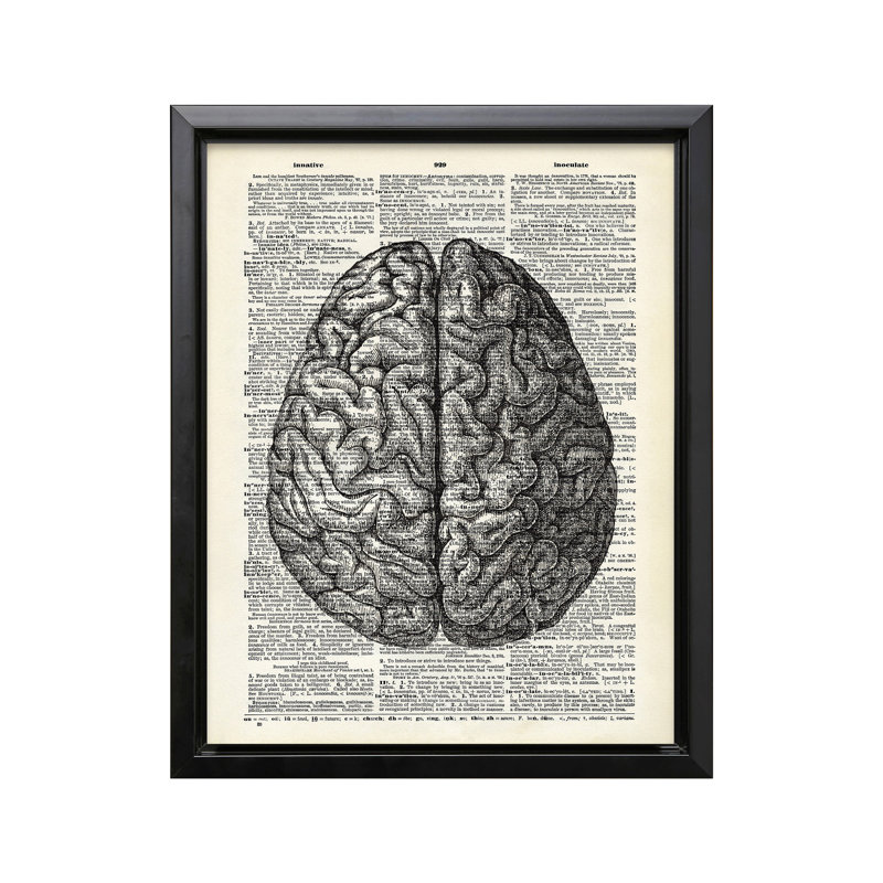 Human Anatomy Brain, Black Framed, Canvas, 18"H x 24"W