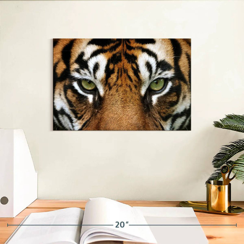 Regard d'un tigre, H 8 po x l 12 po