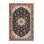 Machine Washable Persian Beige Area Rug