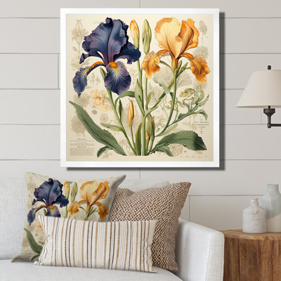 Iris bleu et doré, illustration rétro sur toile