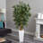 Bamboo Tree in White Tower Planter