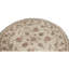 Hand Knotted Area Rug in Ivory
