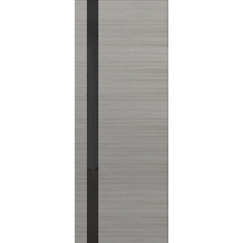 Dalle de porte standard en verre givré Planum, 42 po x 80 po, Gris cendré / noir