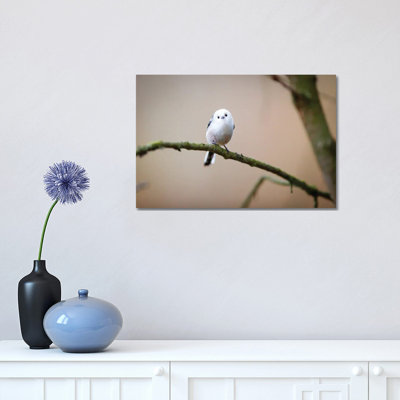 Are You Angry At Me? by Mateusz Piesiak - Wrapped Canvas Print