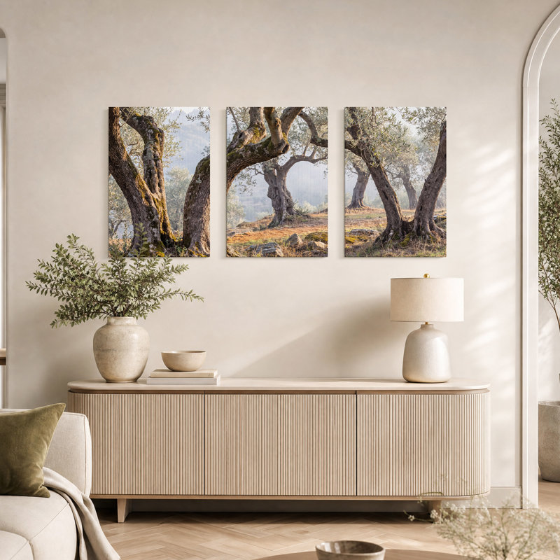Ensemble d'art mural sur toile Mossy Olive Trunks In Sunlit Grove, H 36 po x l 24 po x 3 pièces