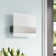 Kerrick Steel Flush Mounted Sconce