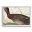 Bemaculé canard - reproduction de photo sur toile-507593552-507593558