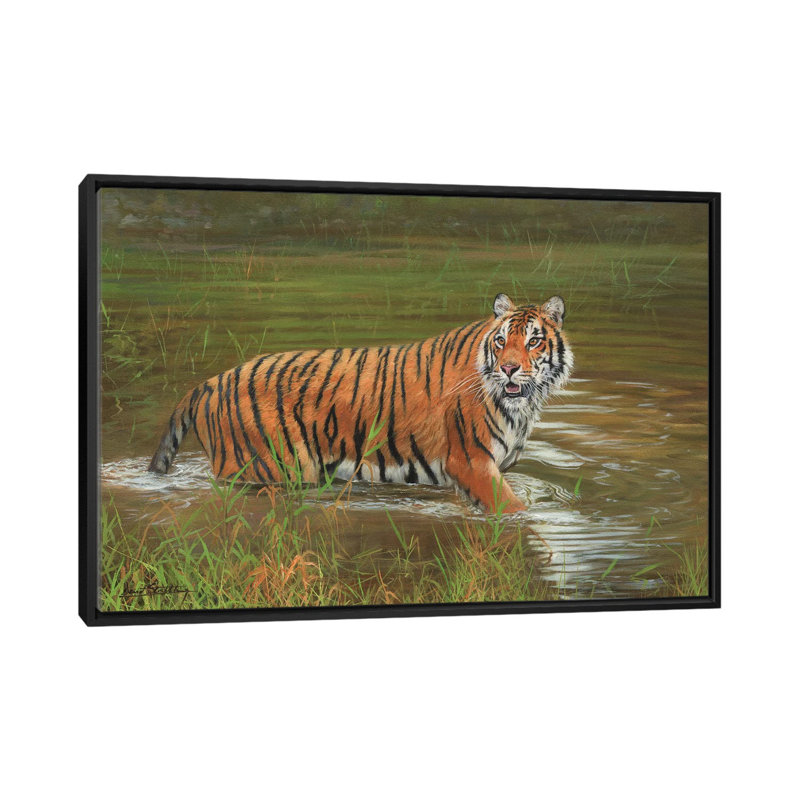« amur tiger rerefroidissant off », impression sur toile, H 18 po x l 26 po x P 1,5 po, Toile encadrée noire, Pas de tapis