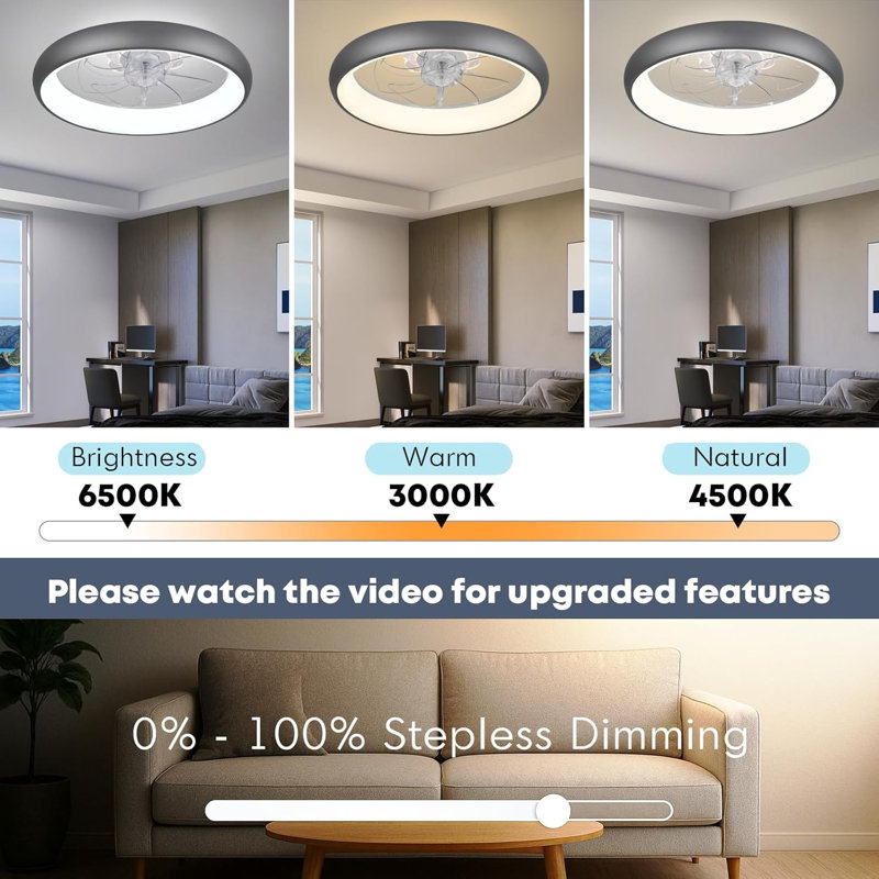 Ceiling Fan With Light
