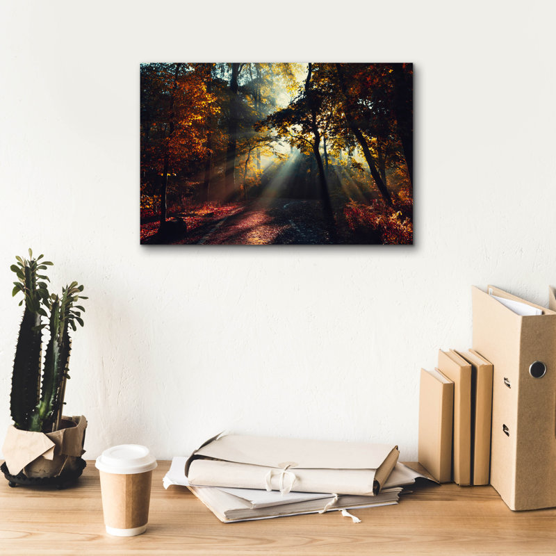 «Magic Forest Light» par Dirk Wustenhagen, art mural sur toile, H 12 po x l 18 po x P 0,75 po