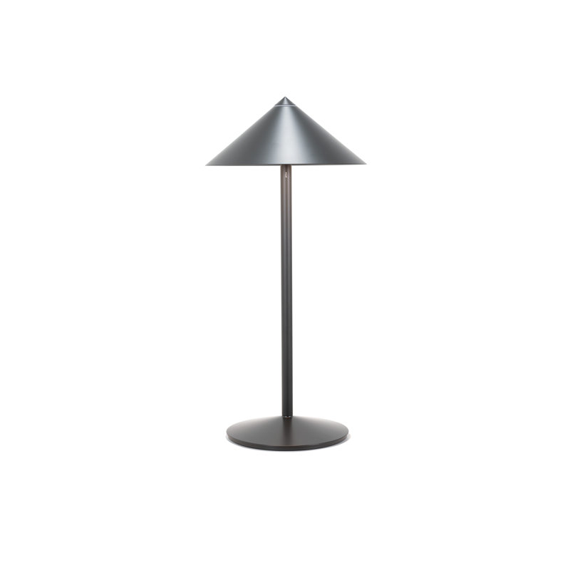 Pina L Desk Lamp, Titanium