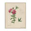 «Science Study», art mural sur toile rose par Danielle Murray-802547195