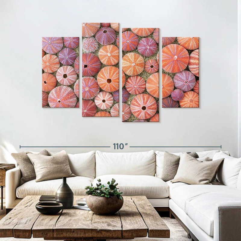 Oursins colorés séchés Brampt, H 54 po x l 84 po